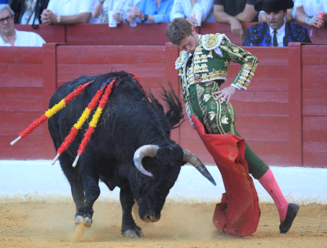 BORJA 1