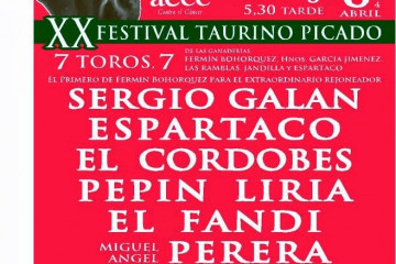 CorregidoCartelXXFEstivalCancerMurcia2014