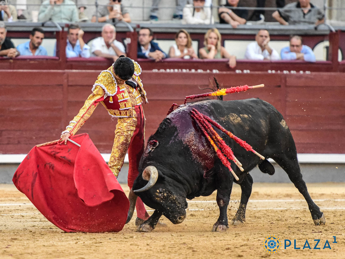 2024 09 15 AAR7316   copia   copia