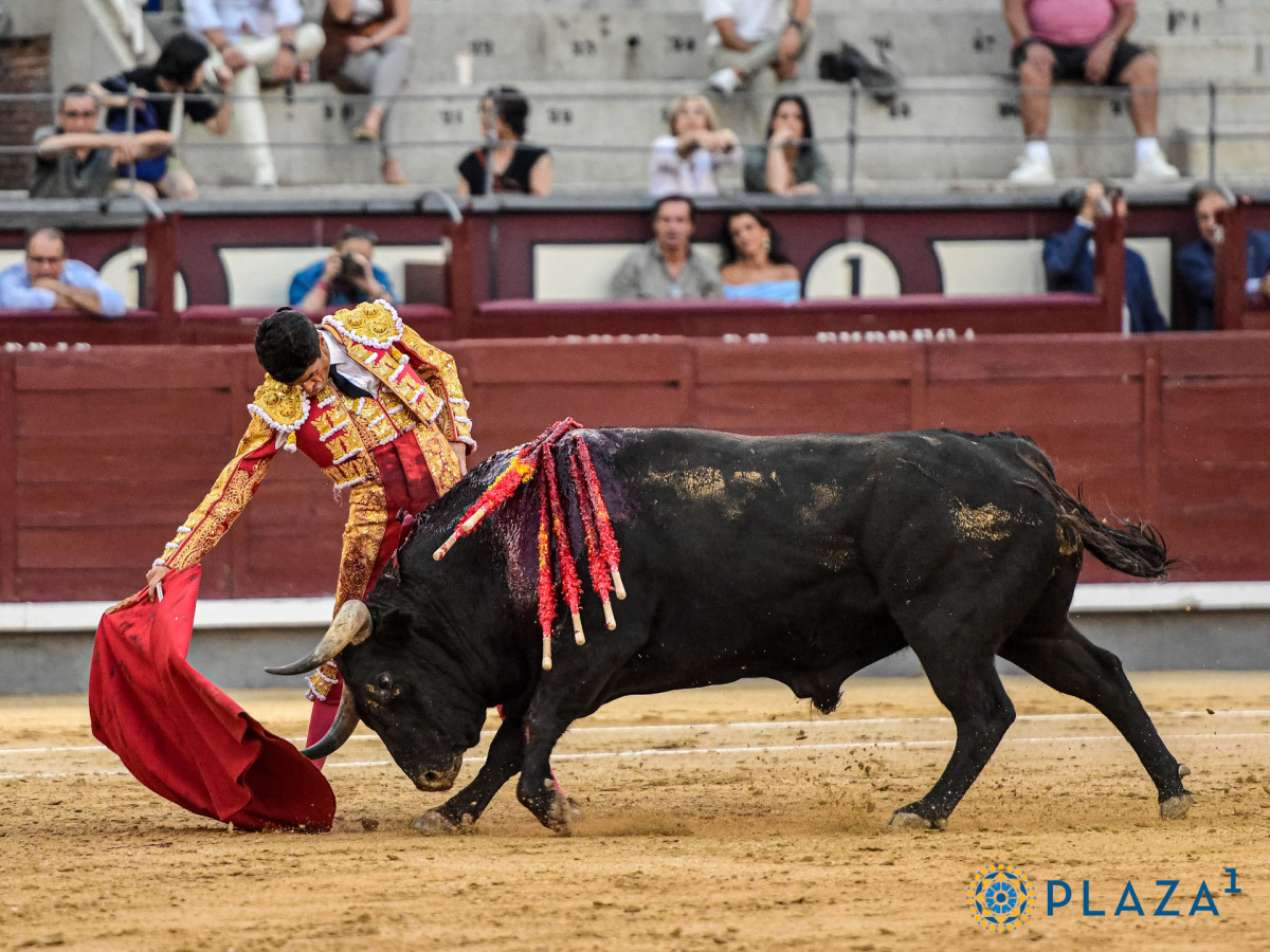 2024 09 15 AAR7323   copia   copia