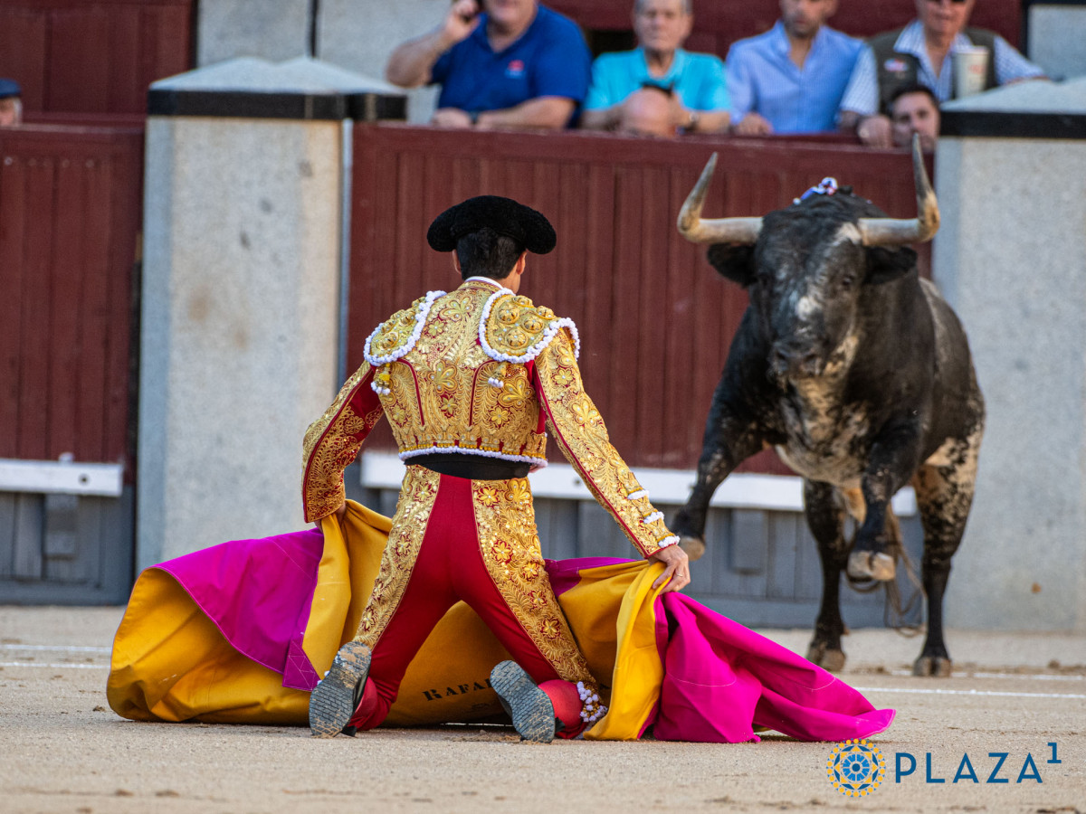 2024 09 15 AAR6809   copia   copia