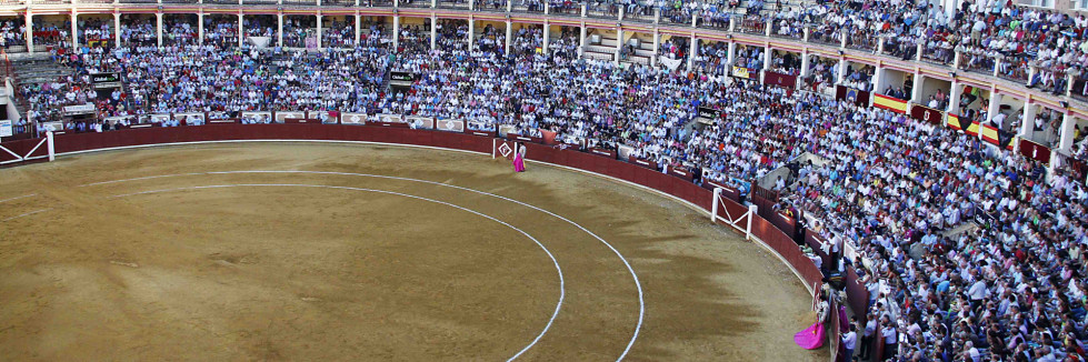 Plazatoroscuenca
