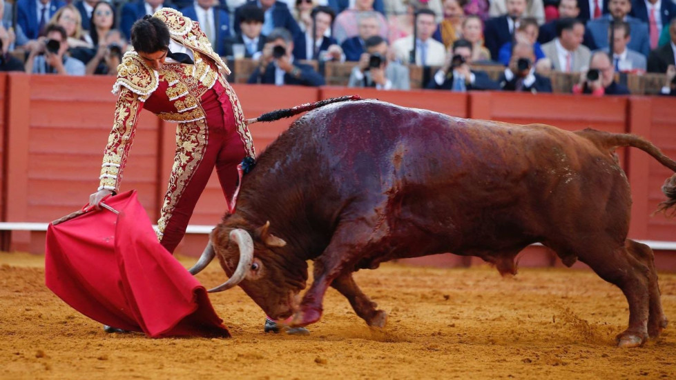 Imagen editada