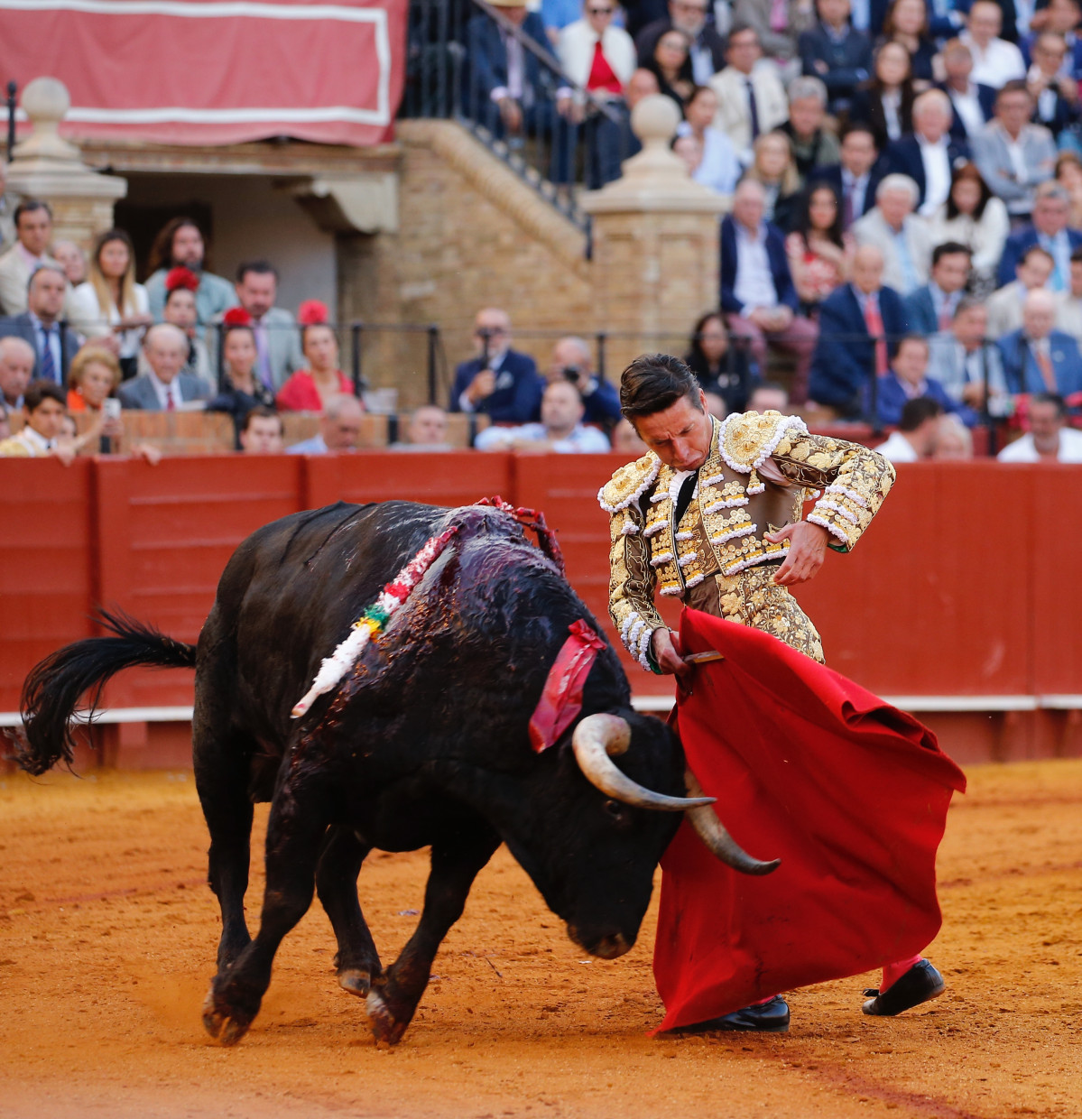 Image00005