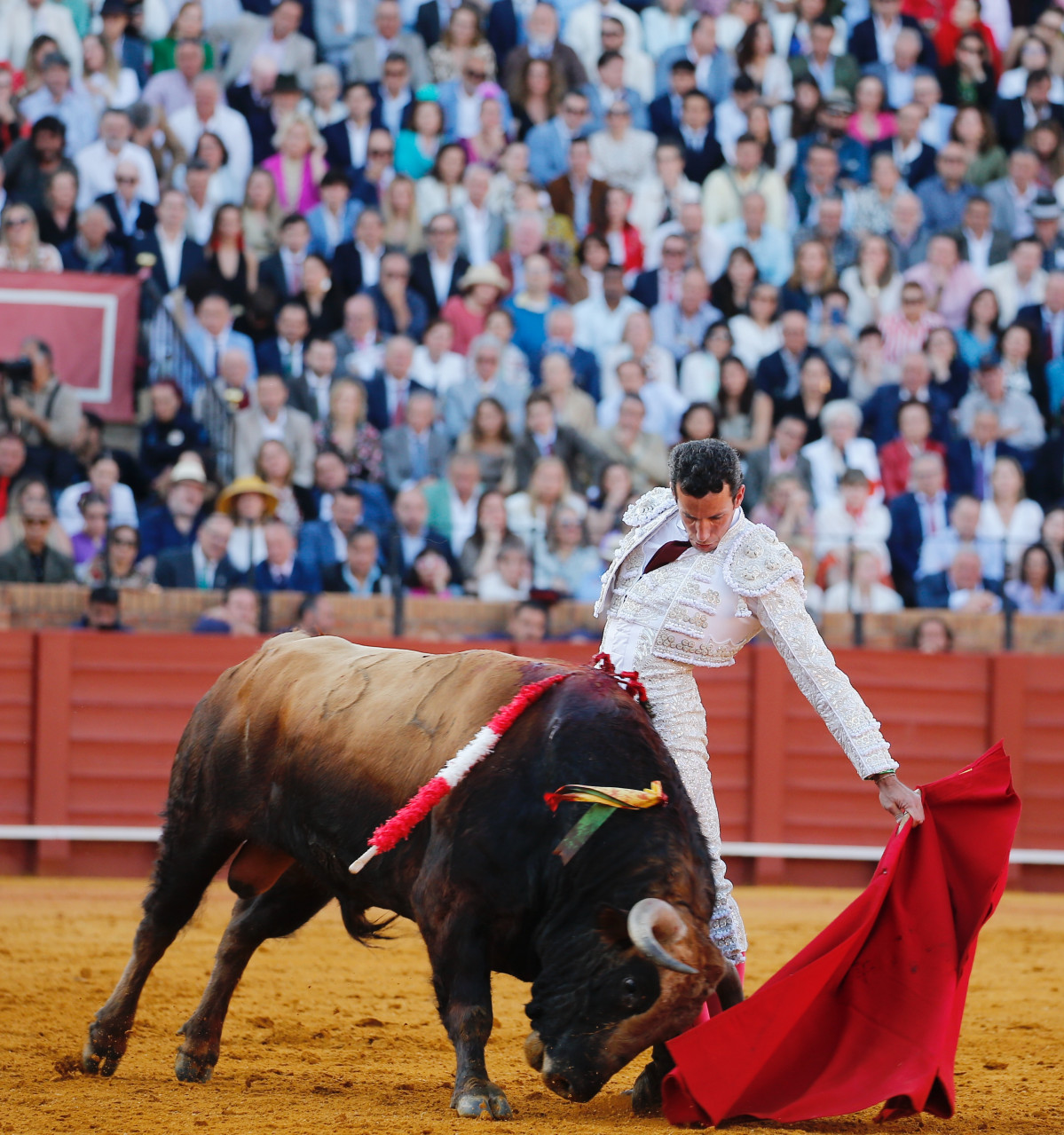 Image00008