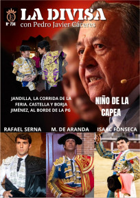 REVISTALADIVISASN734DEL6JUNIO2025