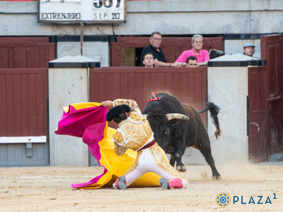 2025 06 06 AAR 2866   copia