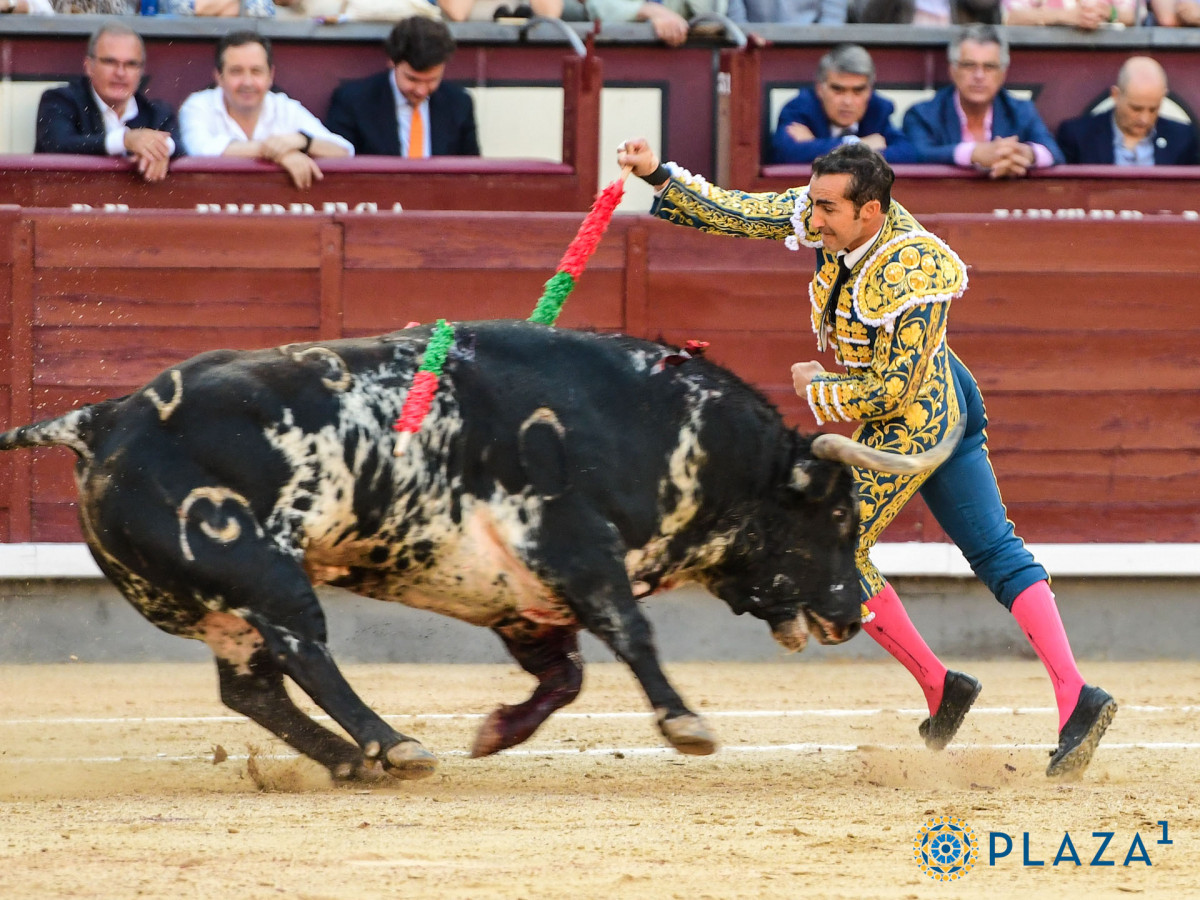 2025 06 06 AAR 2830   copia