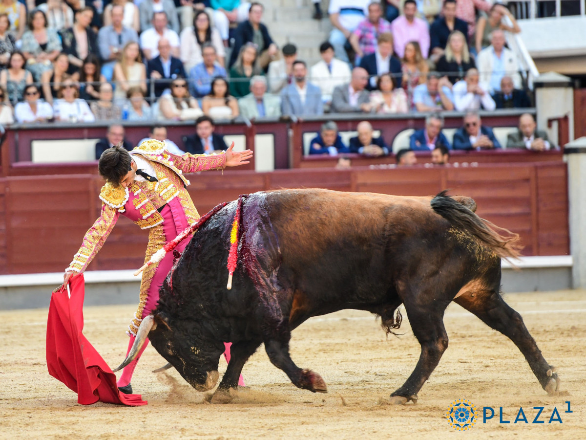 2025 06 06 AAR 2718   copia