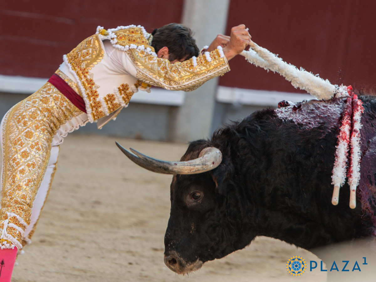 2025 06 06 AAR 2375   copia
