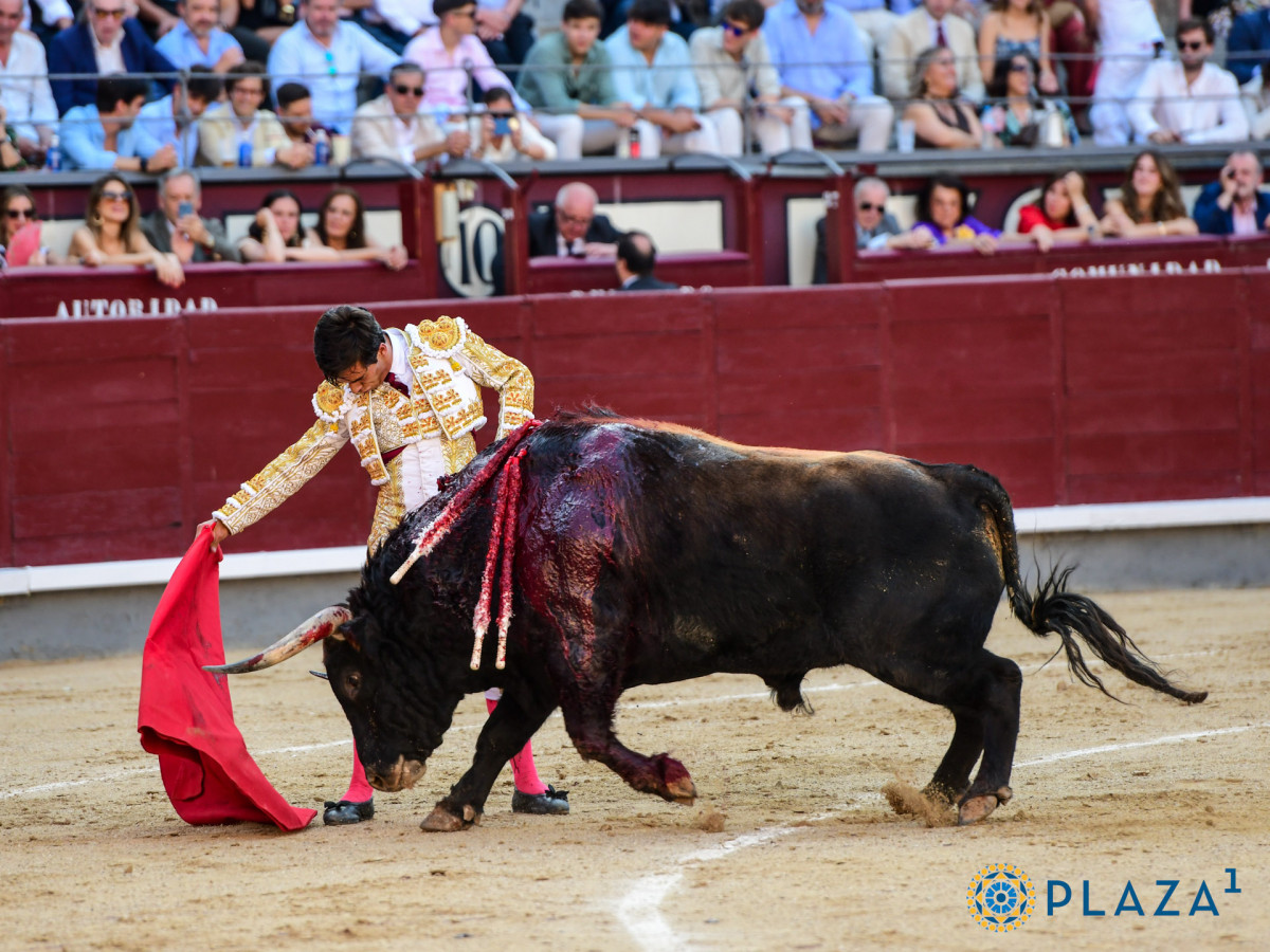 2025 06 06 AAR 2459   copia