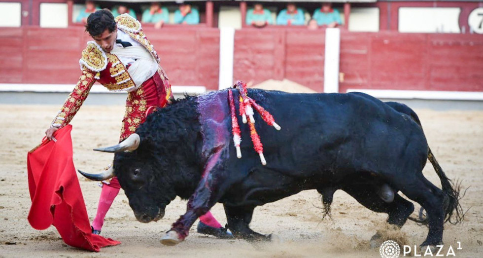 Imagen editada