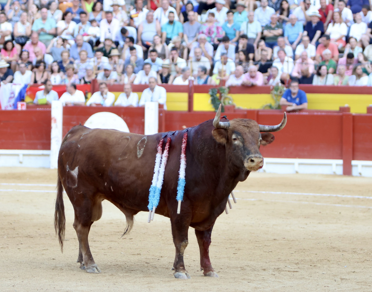 Image00018