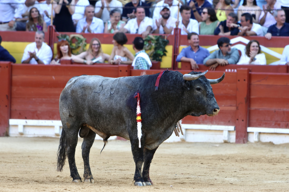Image00022